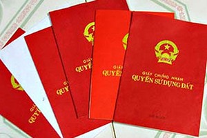 TP. HCM: Rồng rắn đi trả "sổ đỏ" vì thiếu tiền nộp thuế đất